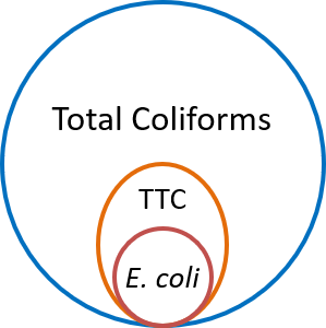 Coliforms-Set Diagram