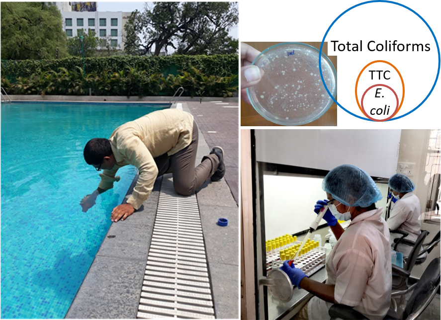 Images to illustrate Poolside Tests Concept